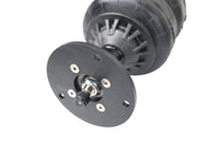 Thumbnail for User 1