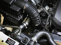 Thumbnail for Photo - Mounted