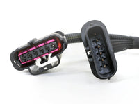 Thumbnail for Photo - Unmounted