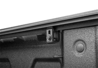 Thumbnail for Photo - Mounted