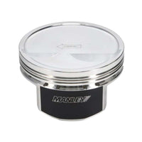 Thumbnail for User 5