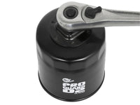 Thumbnail for Photo - Unmounted