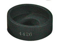 Thumbnail for Photo - Primary