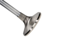 Thumbnail for Photo - Primary