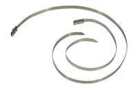 Thumbnail for Photo - Primary