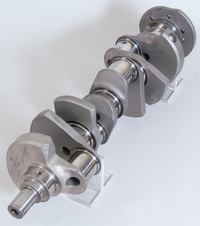 Thumbnail for Photo - Primary