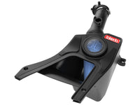 Thumbnail for Photo - Primary