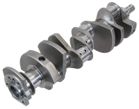 Thumbnail for Photo - Primary