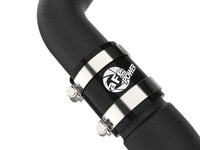 Thumbnail for Photo - Close Up