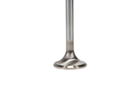 Thumbnail for Manley 91-98 Nissan Sentra SE-R 2.0L (SR20DET) DOHC 16 Exhaust 30.15mm Stainless Race Master Valves