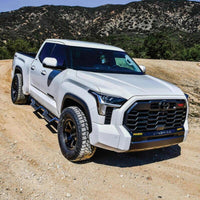 Thumbnail for Photo - Mounted