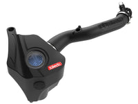 Thumbnail for Photo - Primary