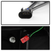 Thumbnail for Photo - Unmounted