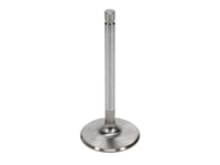 Thumbnail for User 2