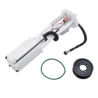 Thumbnail for Photo - Primary