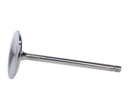 Thumbnail for User 1