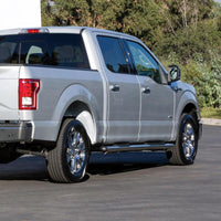 Thumbnail for Photo - Mounted