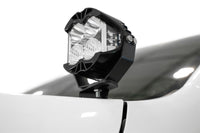 Thumbnail for Photo - Mounted