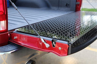 Thumbnail for Photo - Mounted