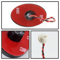 Thumbnail for Photo - Unmounted