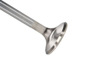 Thumbnail for Photo - Primary