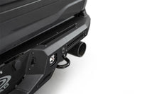 Thumbnail for Photo - Mounted