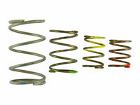 Thumbnail for Turbosmart Gen V WG45/50 Spring Replacement Kit