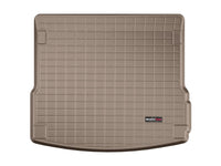 Thumbnail for Photo - Primary