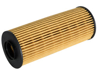 Thumbnail for Photo - Unmounted