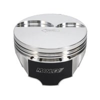 Thumbnail for User 3