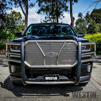 Thumbnail for Photo - Mounted