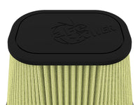 Thumbnail for Photo - Close Up