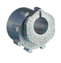 Thumbnail for Photo - Primary