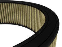 Thumbnail for Photo - Close Up