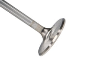 Thumbnail for Photo - Primary