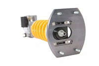 Thumbnail for User 1