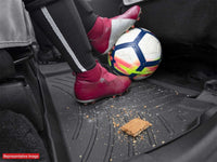 Thumbnail for Photo - Mounted