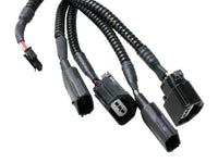 Thumbnail for Photo - Unmounted