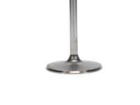 Thumbnail for User 3