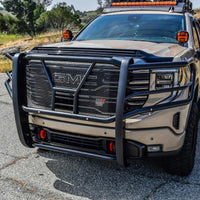 Thumbnail for Photo - Mounted