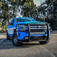 Thumbnail for Photo - Mounted