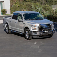 Thumbnail for Photo - Mounted