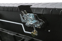 Thumbnail for Photo - Unmounted