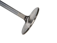 Thumbnail for Photo - Primary