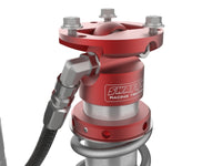 Thumbnail for Photo - Close Up