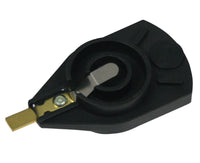 Thumbnail for Photo - Primary