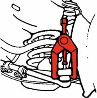 Thumbnail for Photo - Unmounted