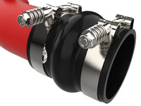 Thumbnail for Photo - Close Up