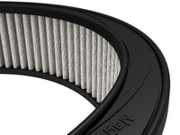 Thumbnail for Photo - Close Up