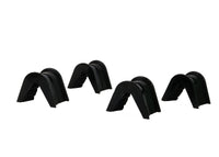 Thumbnail for Photo - Primary